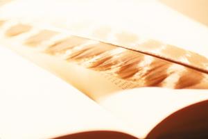 ガチャガチャの森：楽しいコレクションと最新アイテムを提供するお店