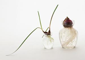 簡単に高級感を実現！初心者でもできる箔押しペンの使い方とおすすめアイデア